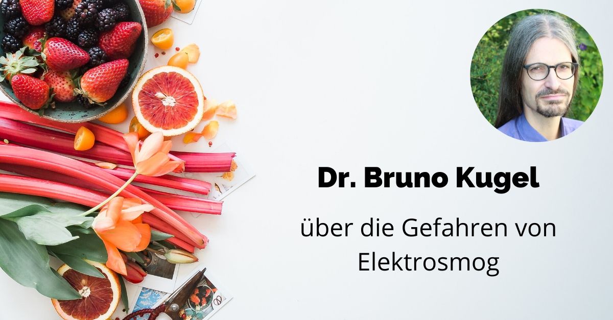 Bruno kugel dissertation | lumlingrizgasanrovarcomogimi